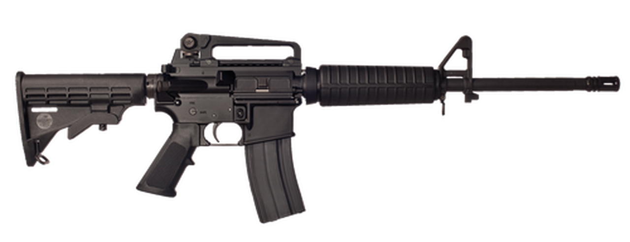 Bushmaster A3 Carbine .223/5.56 16" Barrel Detachable Carry Handle 30 Rd Mag